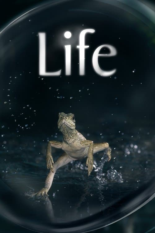 Life